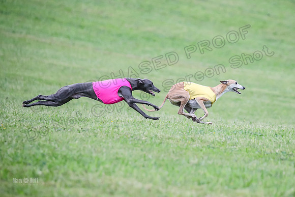 Prelim Open C2, Sparky Strummer Squiggle-8650
