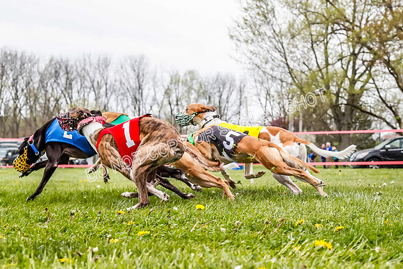 WRA, Prg 3, Race 6, Warrior Beacon Picanha Smudge Entei-9195