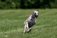 MCH71644