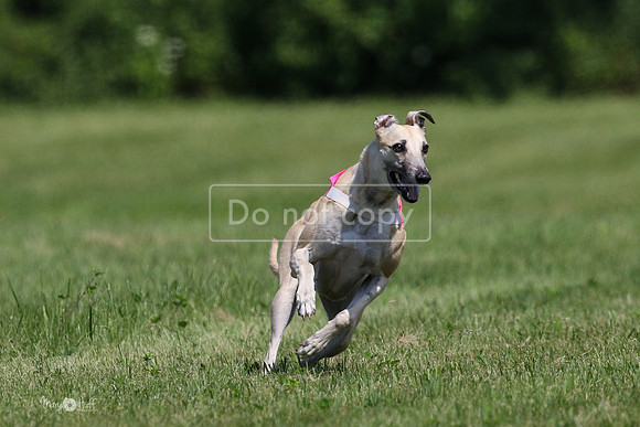 MCH71644