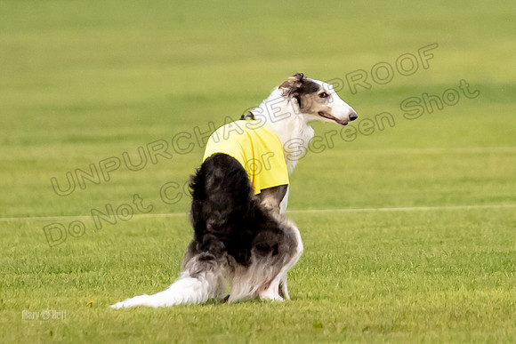 Open Prelim Bluegene Rhett Zen-0514