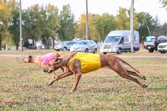 1 Prelims Vet Libby Xena-0402