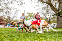 WRA, Prg 3, Race 2, Dash, Buzzsaw Elvis Mika Moonstruck-9130