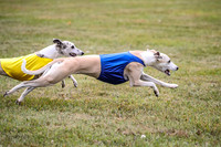 1 Prelims Open 1 AnnieOakley Fennec Zero-1257
