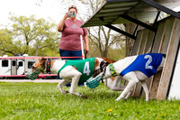 WRA, Prg 3, Race 1, Puppy, Sprig Gnocchi-9112