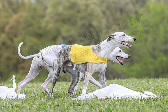 Finals Open C4, Ripley Prim Synner-0780