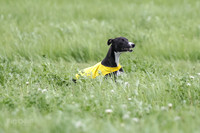 1 Prelims Open 1, LA Twister Greta-8186