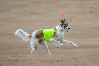 _E4I0437