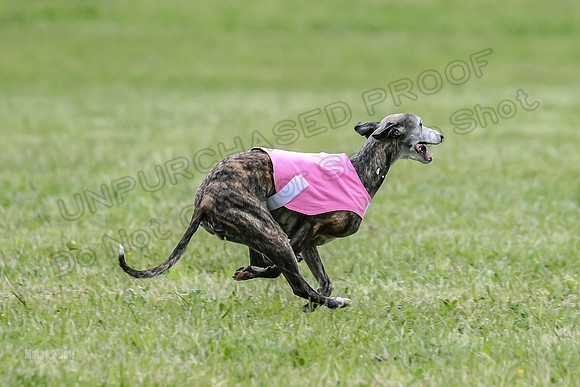 Prelim Veterans 3, Hattie Marley Jewel-0170