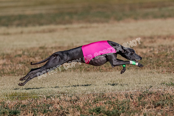 Open, Prelim, Luke-Flint-Lancer-4434
