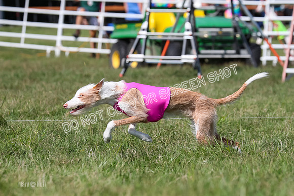 Open Prelim A2, Madyson, Razz-7620