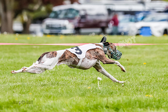NOTRA Program 2, Race 4, Rum Moki Clyps-2-10