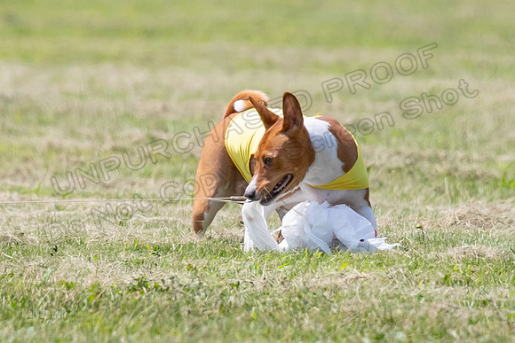 Finals-0154