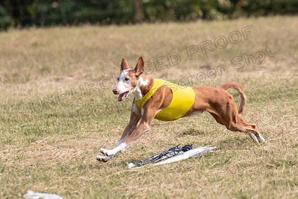 Finals Veteran Izzy Dawn-4265
