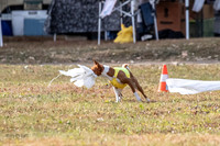 Finals Kamii-3466