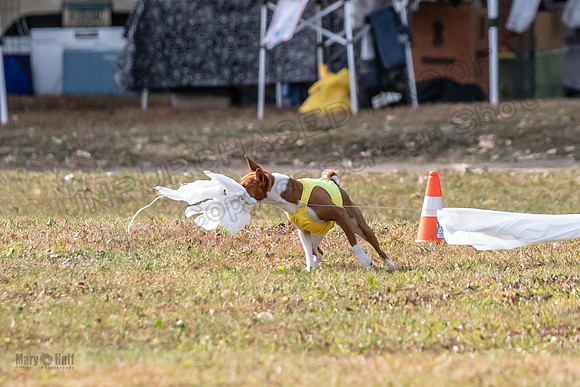 Finals Kamii-3466