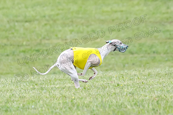 Prelim Open F2, Trippit Sid Fva-9296