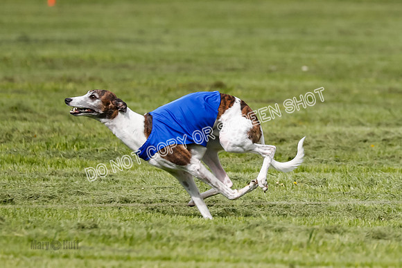 Open, Prelim, Stilla Lola Riley-8280