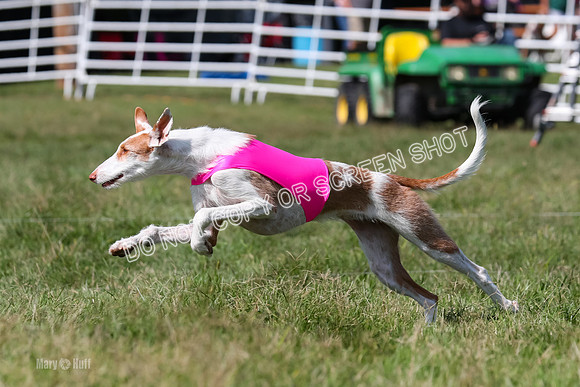 Open Prelim B3, Tavia, Birdie-7944