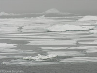 EN4531_009