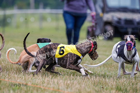 Prg 3, Race 5, Sid-Alex-Zed-Fama-Talim-1190