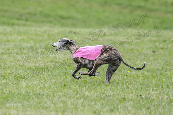 Prelim Veterans 3, Hattie Marley Jewel-0157
