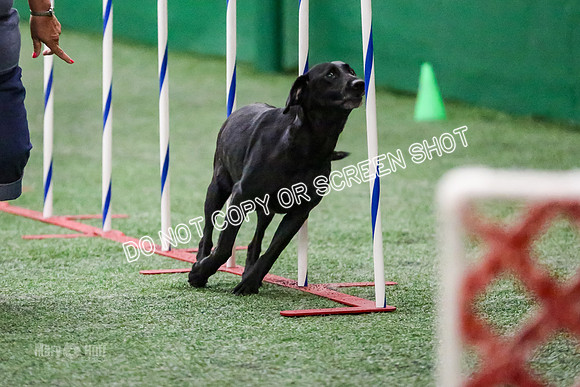 MCH51226