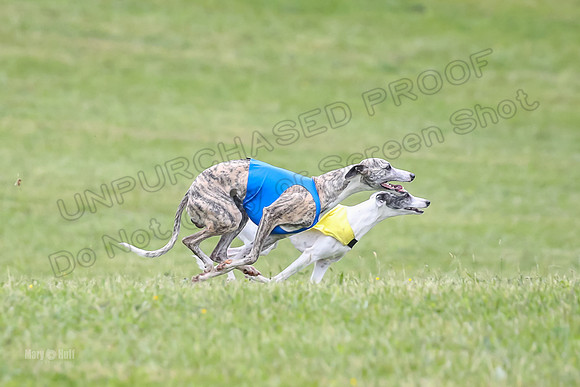 Prelim Open G1, Banshee Mystic Stoli-9447