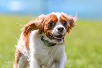 AE4I7696