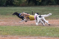1 Prelims Vet Chase Imp Zip-0589