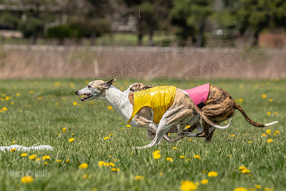 Finals Specials A4 Mica Carnie Marlee-4359