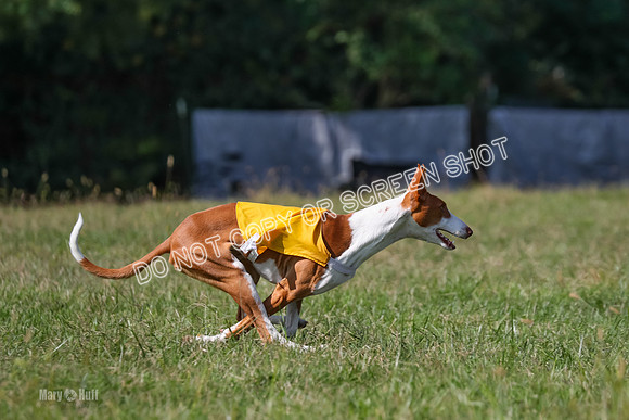 Open Prelim A2, Madyson, Razz-7643