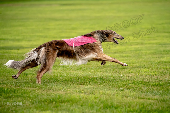 Open Prelim Bluegene Rhett Zen-0510