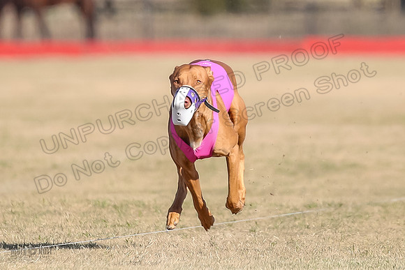 1Prelims Spec 1 Calyber Jasper-0795