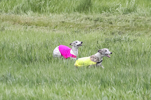 1 Prelims Open 3 Sydney Spanx Frankie-8227