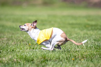 Rocki Girl-6506