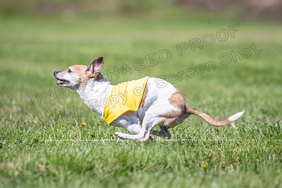 Rocki Girl-6506