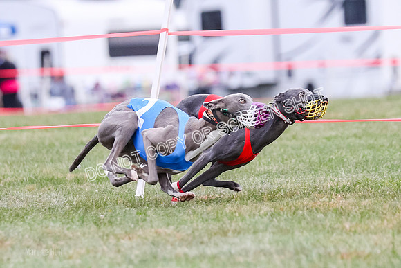 Prg 1, race 12, Gibbs Java Watson Tsunami-0855