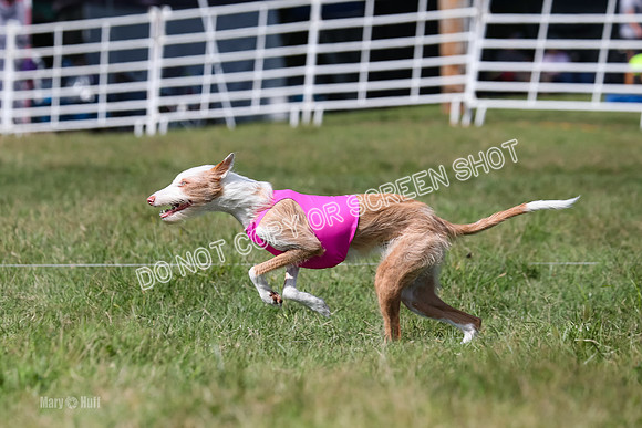 Open Prelim A2, Madyson, Razz-7624