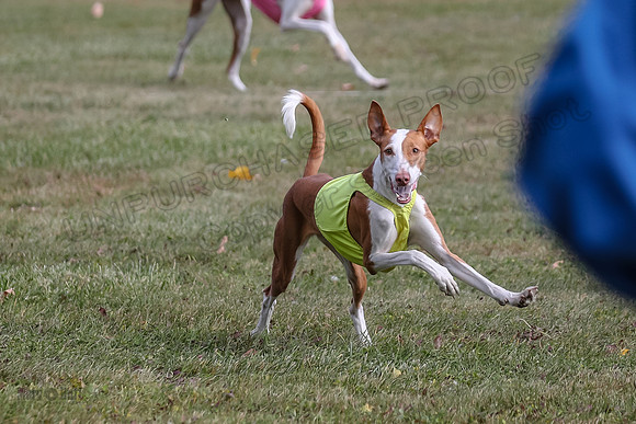 Finals Fch 1 Beastie Jadis Ginny-7910