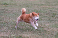 IMG_9506