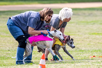 prelims Fch-Vet Arrow Wilson-7604