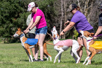 Prelims Fch 1 Ginny Willow Madyson-5414