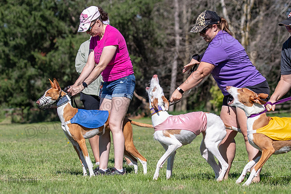 Prelims Fch 1 Ginny Willow Madyson-5414