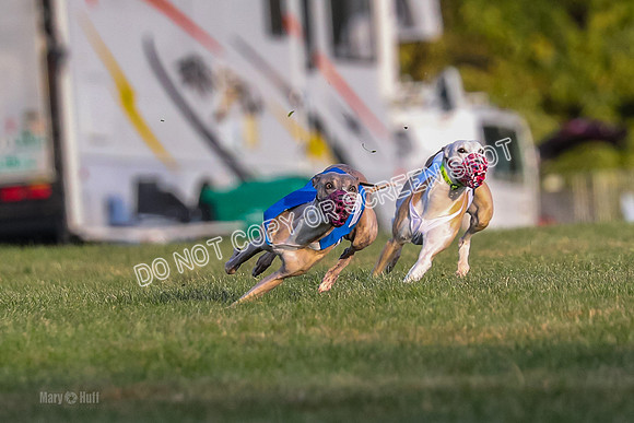 Prg 1, race 1, Arrow Blitz Rosie Floyd-0557