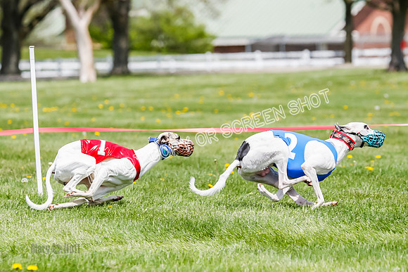 NOTRA Program 3, Race 3, Eddie Elvis Picanha Coyote-2-32