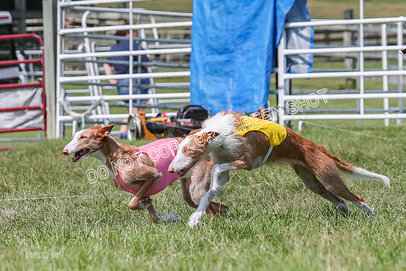Prelim, Veteran 1, Dobby, Pepper-8787