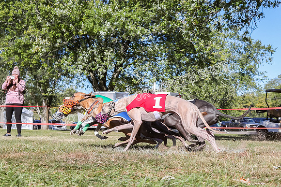 Prg 2, Race 2, Dash, Blitz Mauser Mika Cobalt Reas-9354