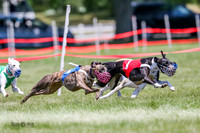Prg 4, Race 6, Maybe, Tata, Coyote, Shea