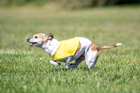 Rocki Girl-6498